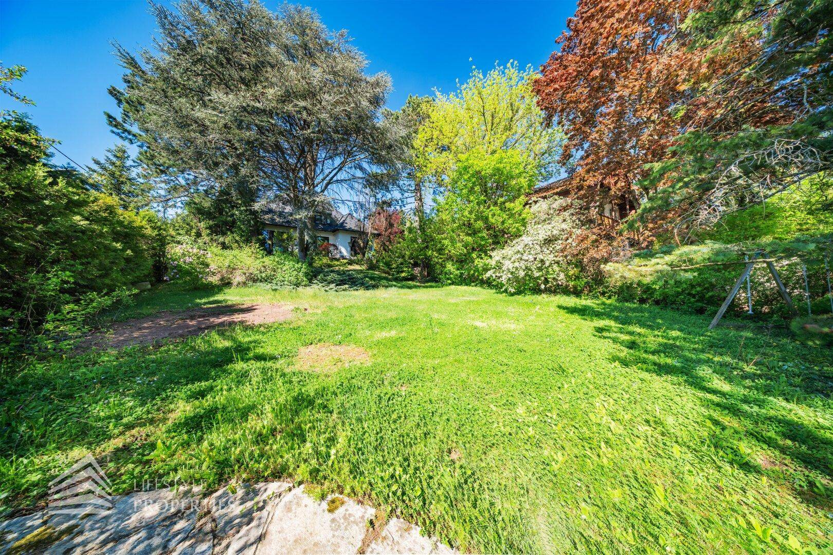 Sonnige Rasenfläche im Garten mit Blick auf das Haus im Hintergrund, umgeben von Bäumen.