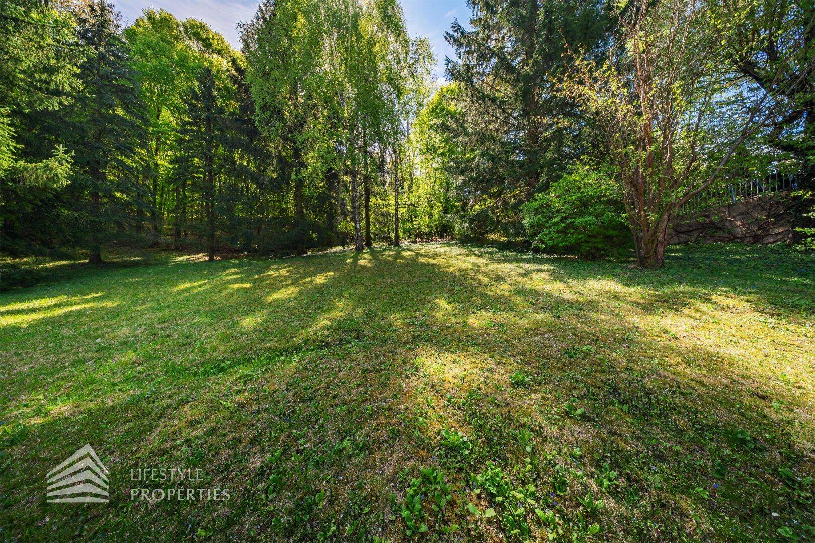Große, sonnige Rasenfläche im Garten, umgeben von dichtem Baumbestand und viel Grün.