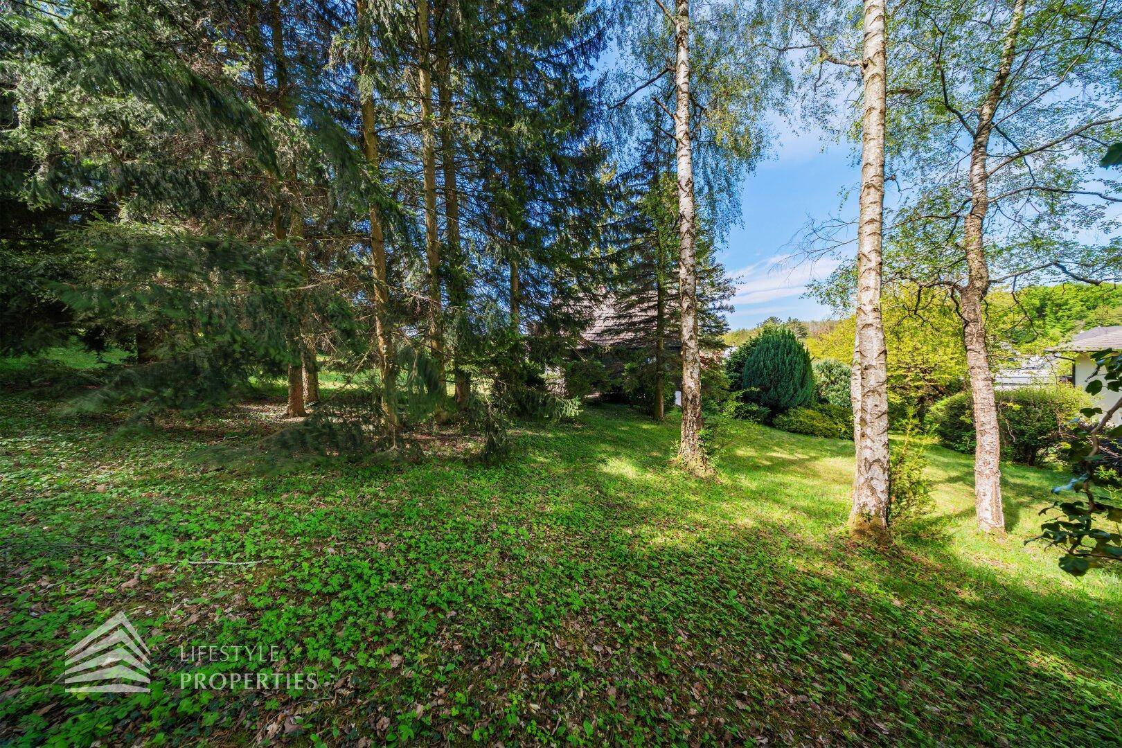 Naturbelassener Gartenbereich mit hohen Bäumen und üppigem Grün, ideal zum Entspannen.