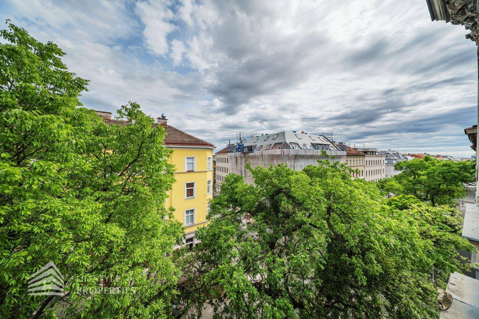 Blick über grüne Baumwipfel auf die Dächer der umliegenden Gebäude und den Himmel.