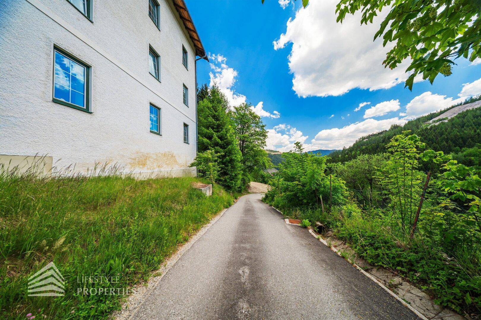 Zufahrtsweg zum Gebäude, umgeben von hohen Bäumen und üppigem Grün unter blauem Himmel.