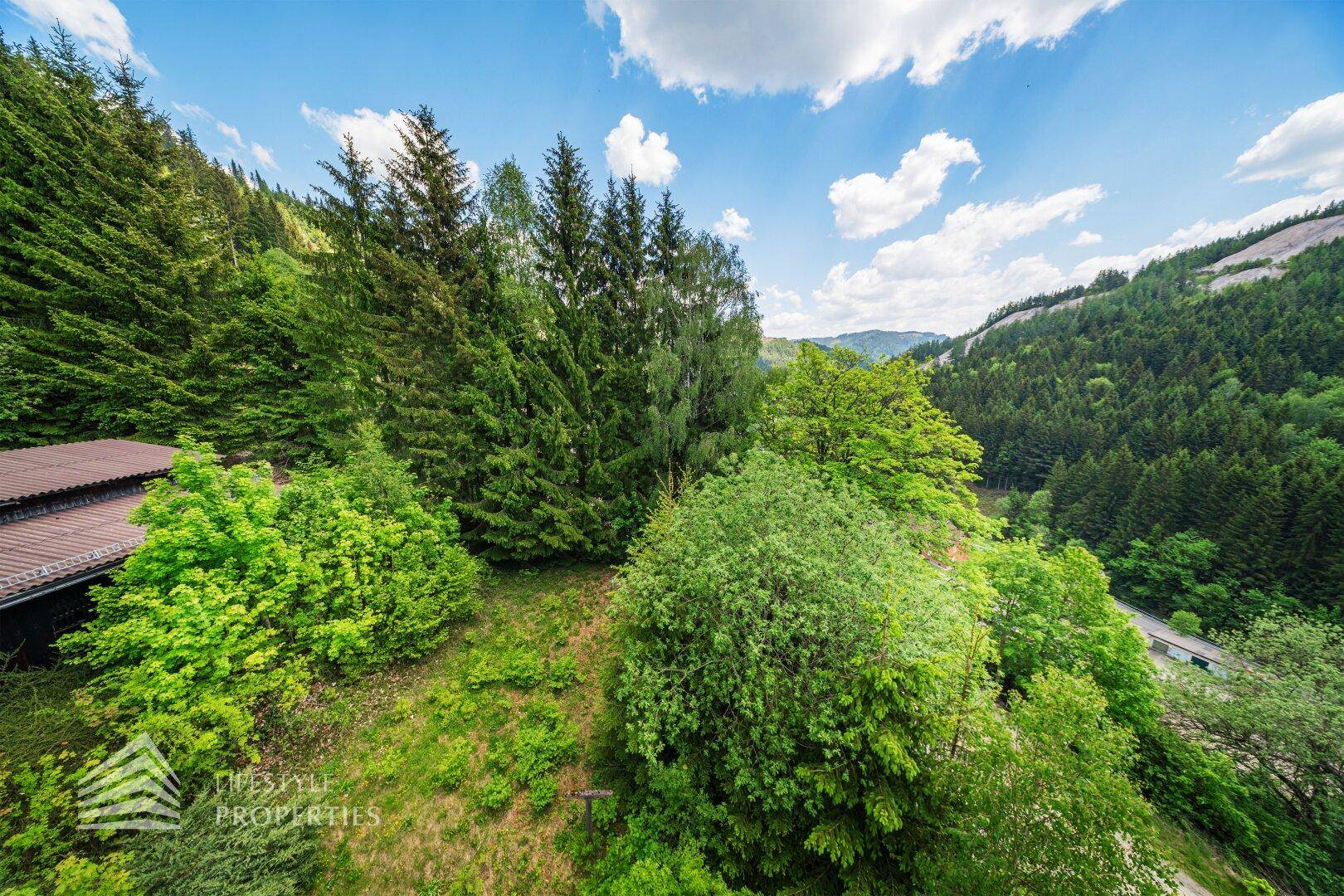 Malerischer Blick auf bewaldete Hügel und grüne Natur unter blauem Himmel.