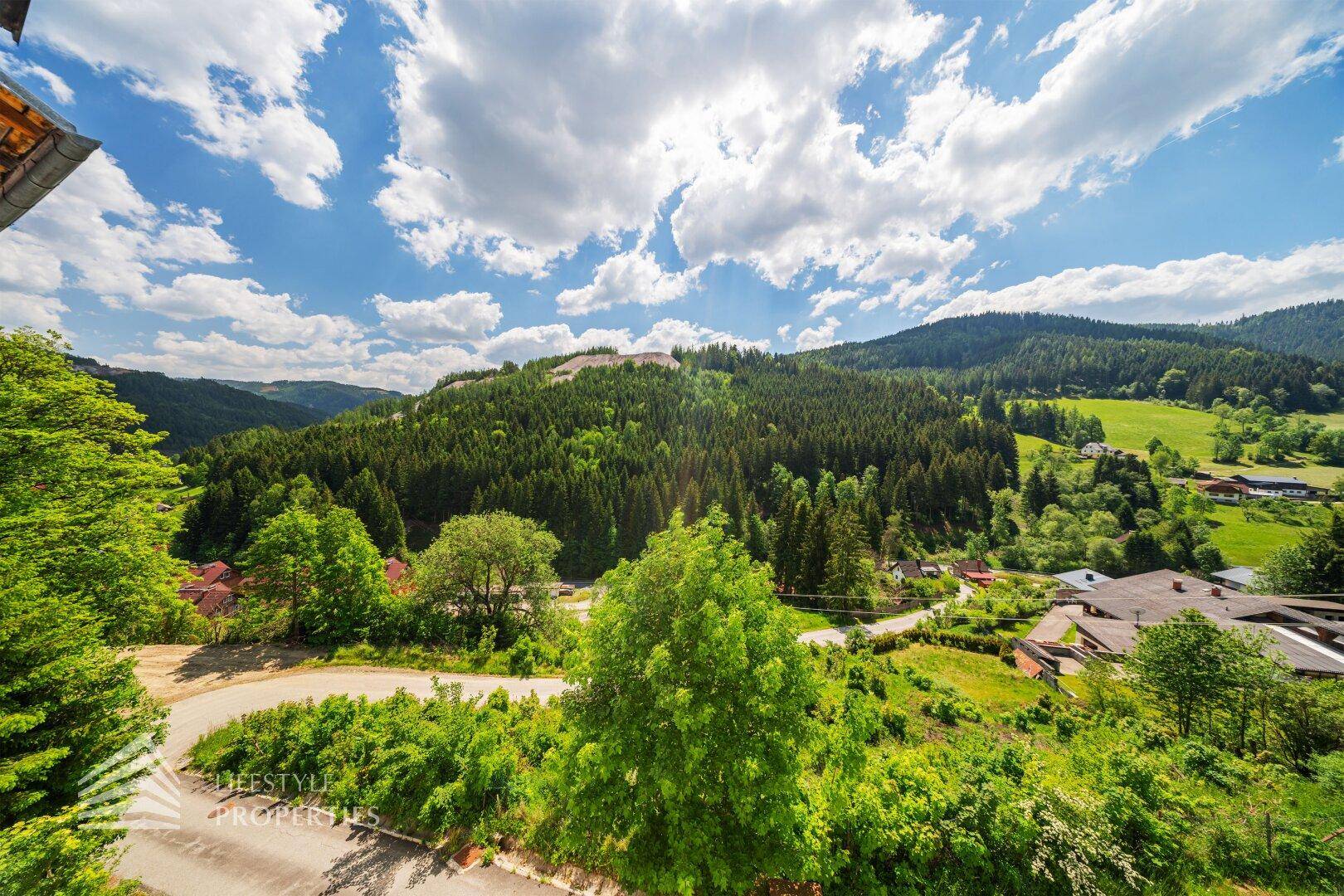 Weitläufiger Panoramablick über grüne Täler und bewaldete Berge unter blauem Himmel.