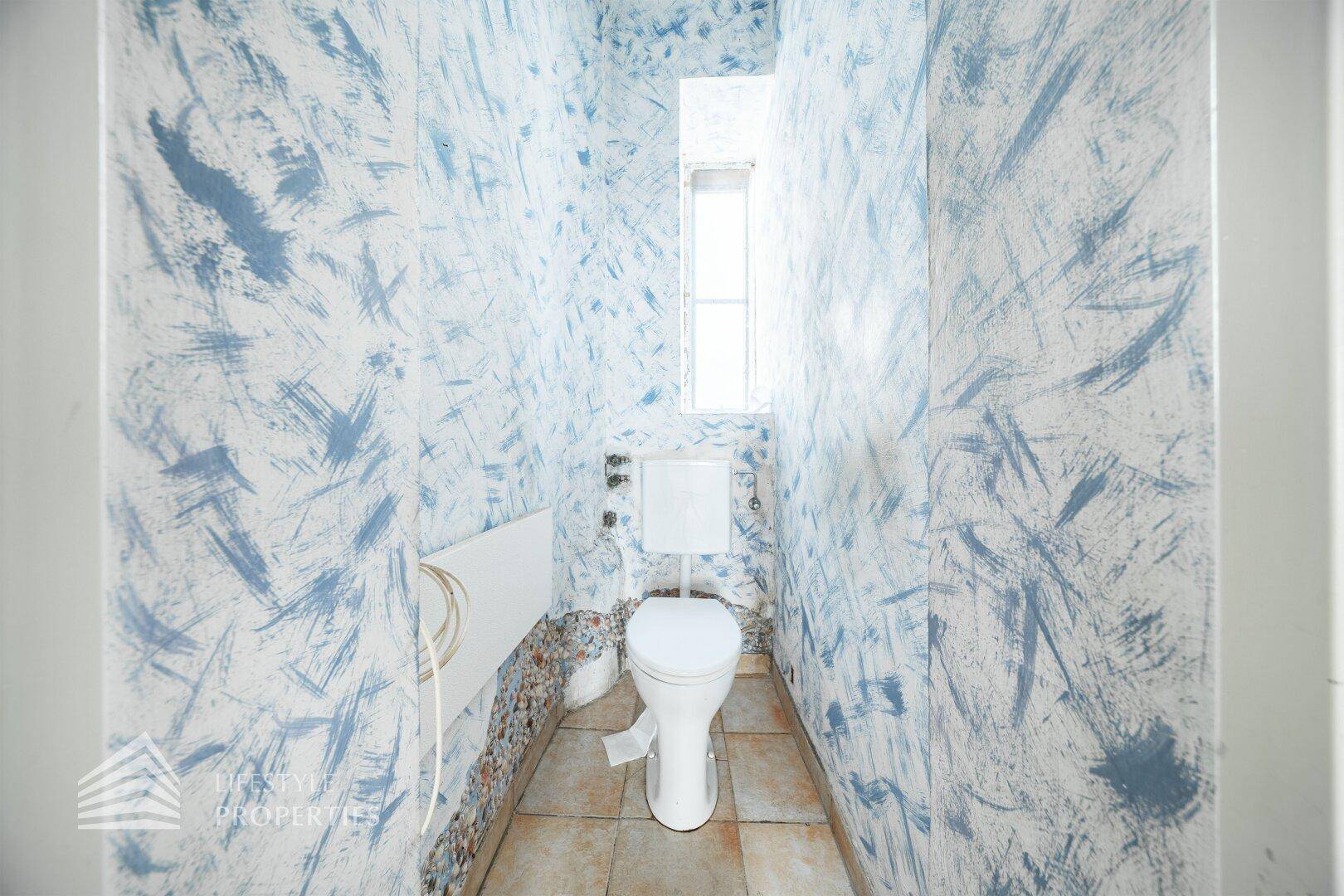 Separate Toilette mit Fenster und auffälliger blauer Wandgestaltung, funktional und hell.