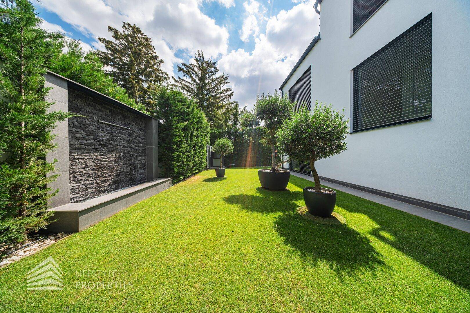 Sonniger Garten mit Rasenfläche, dekorativen Olivenbäumen und einer modernen Steinwand mit Wasserspiel.