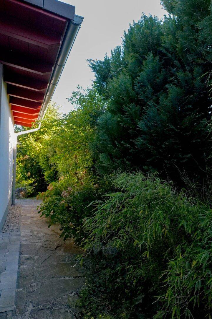 Schmaler Steinweg entlang der Hauswand, umgeben von üppigem Grün und hohen Bäumen.