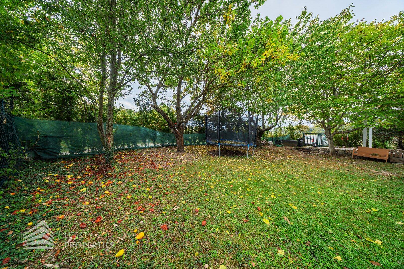 Großer Gartenbereich mit Rasenfläche, Bäumen, Trampolin und einer Holzbank zum Entspannen.