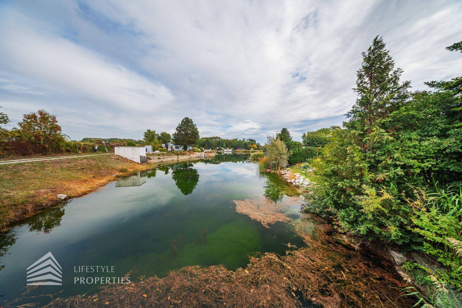 Malerischer Blick auf den ruhigen See mit üppiger Vegetation am Ufer.