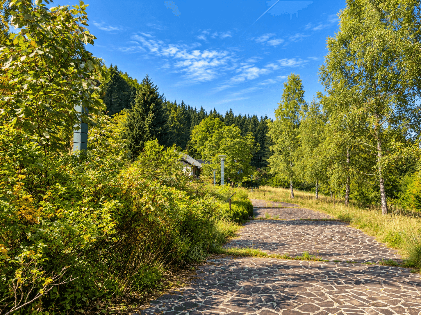 Geschwungener Steinweg führt durch grüne Landschaft zu einem versteckten Gebäude.