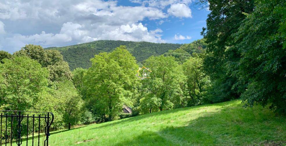 Idyllische Hügellandschaft mit üppigem Grün und weitem Blick in die Natur, umgeben von Bäumen.