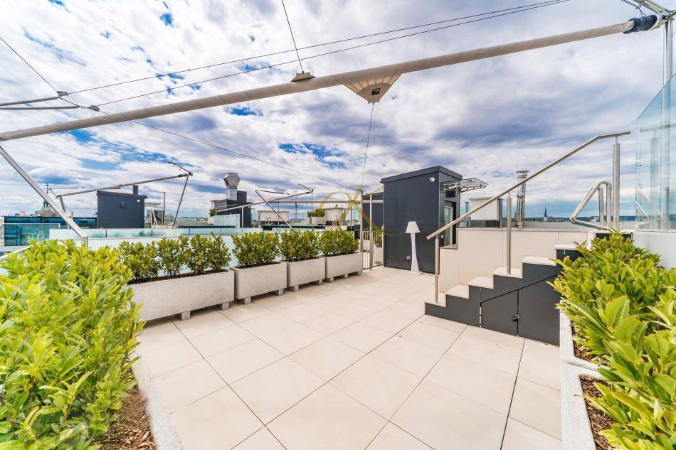 Weitläufige Dachterrasse mit Pflanzenkübeln, Stadtblick und moderner Gestaltung.