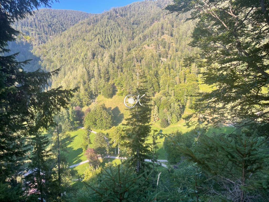 Malerischer Blick auf bewaldete Berge und grüne Täler unter blauem Himmel.