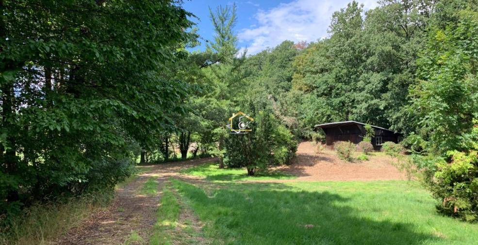Naturbelassener Weg durch bewaldetes Gebiet mit einer kleinen Hütte im Hintergrund, umgeben von Bäumen.