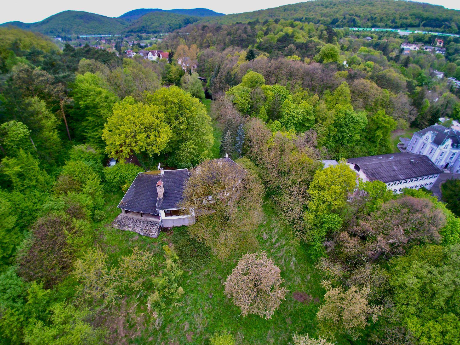 Luftaufnahme eines Hauses umgeben von dichtem Baumbestand in einer grünen, hügeligen Landschaft.