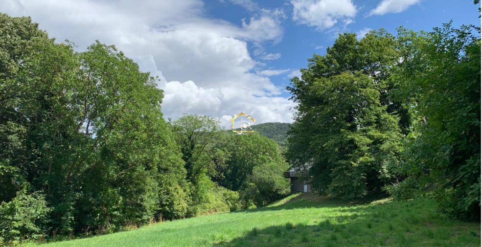 Weitläufige grüne Landschaft mit dichtem Baumbestand und bewölktem Himmel, ideal für Naturliebhaber.