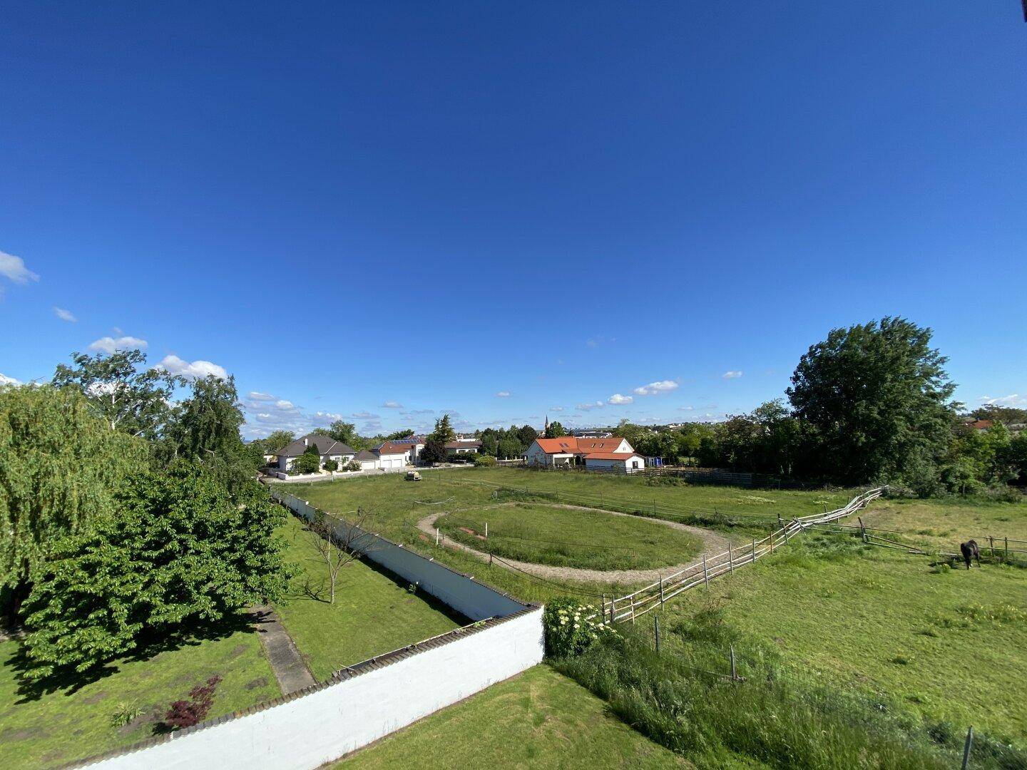 Weitläufige Grünfläche mit vereinzelten Häusern und einem Zaun unter blauem Himmel.