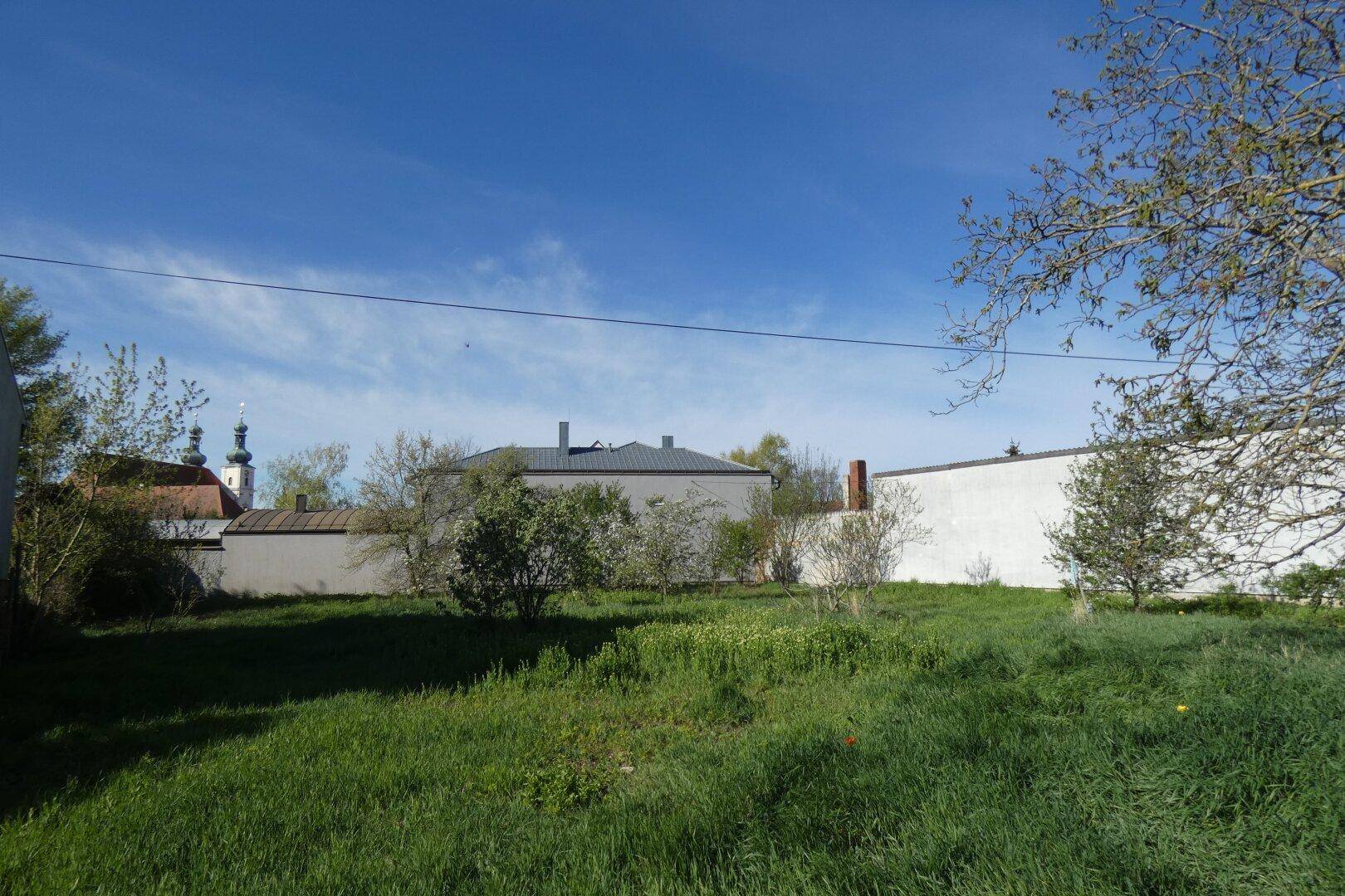 Weitläufige Grünfläche mit Bäumen, umgeben von Gebäuden und einem Kirchturm in der Ferne.