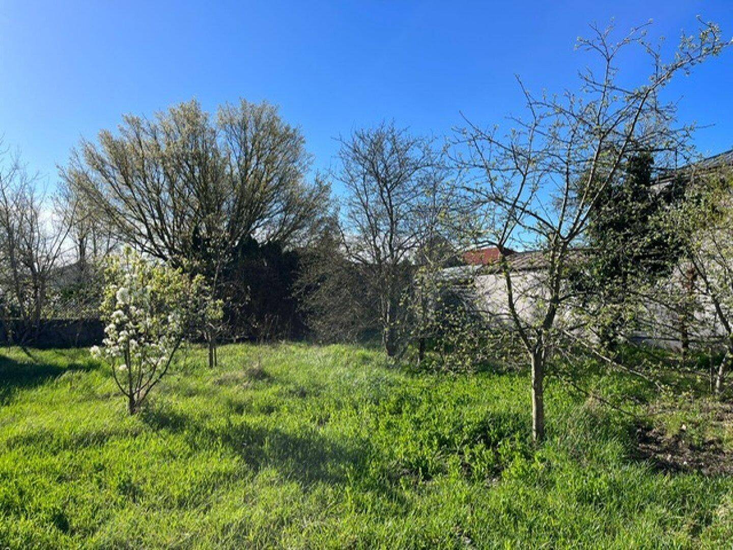 Weitläufige grüne Gartenfläche mit verschiedenen Bäumen und Gebäuden im Hintergrund.