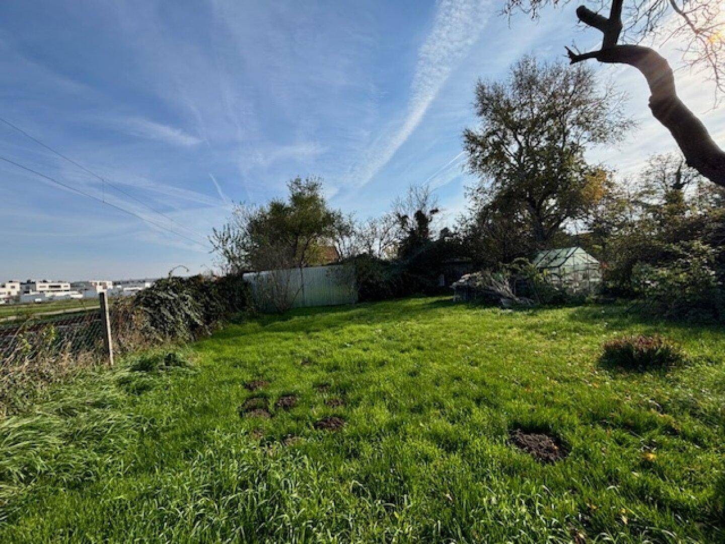 Sonniger Gartenbereich mit Rasen, Bäumen und einem kleinen Gewächshaus.