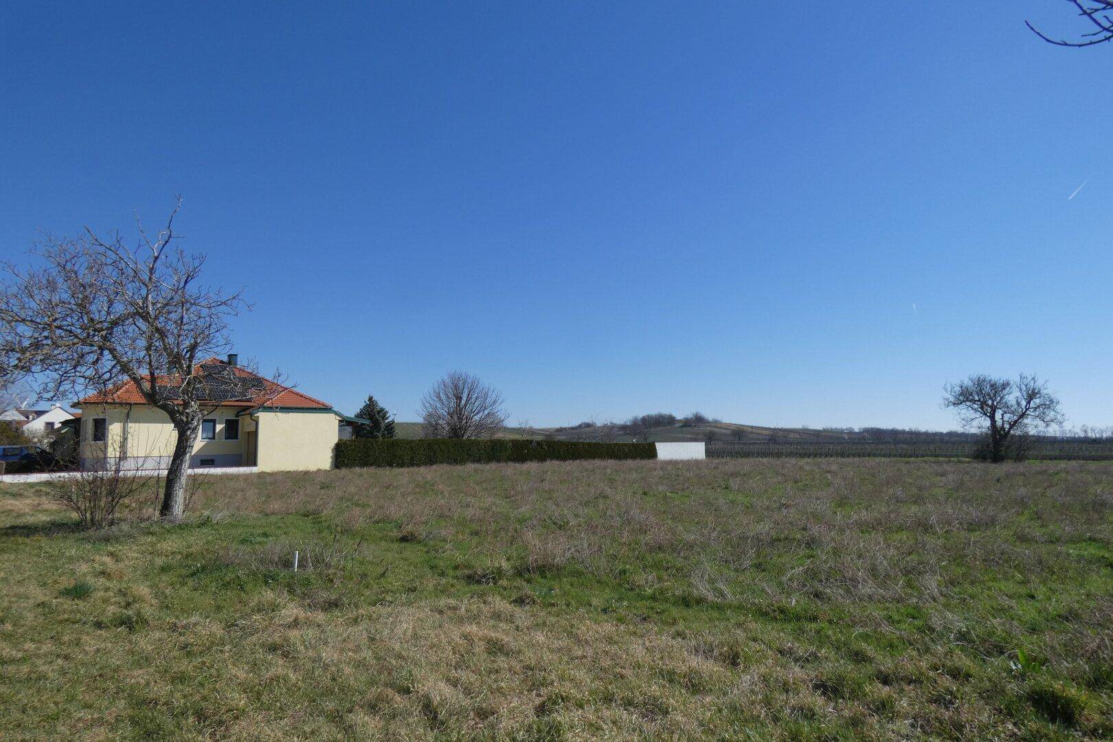 Blick über das weite Grundstück mit einem Haus, einem Baum und der hügeligen Landschaft im Hintergrund unter blauem Himmel.