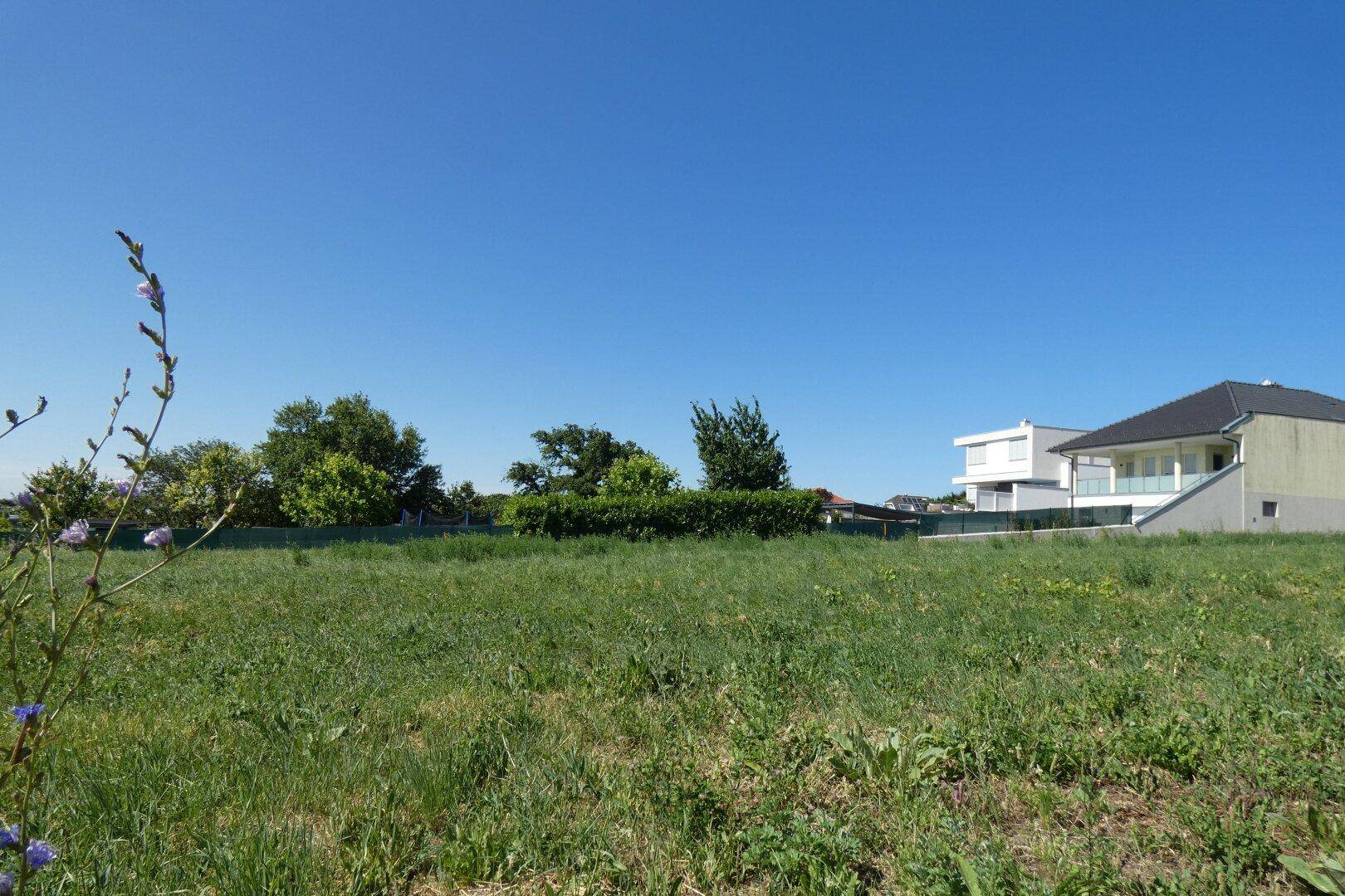 Weitläufiges grünes Feld mit einem modernen Wohnhaus im Hintergrund unter blauem Himmel.