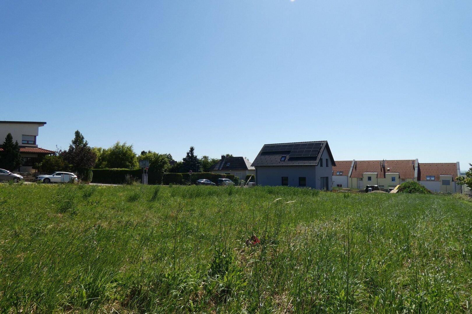 Grüne Wiese mit einer Reihe von Wohnhäusern und einem Haus mit Solaranlage im Hintergrund.