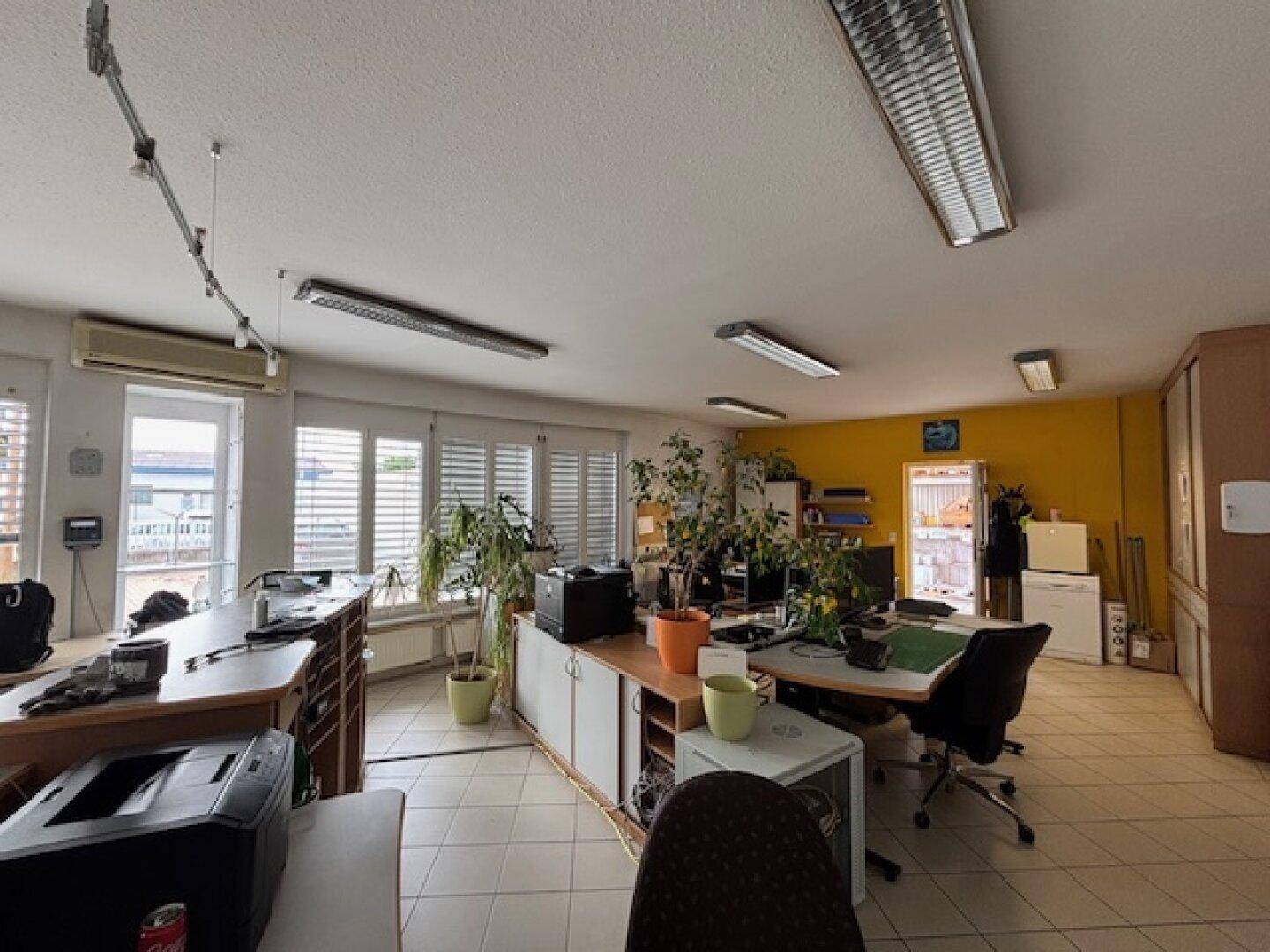 Großraumbüro mit mehreren Arbeitsplätzen, Bürostühlen, Pflanzen und einer gelben Akzentwand, mit Jalousien an den Fenstern.
