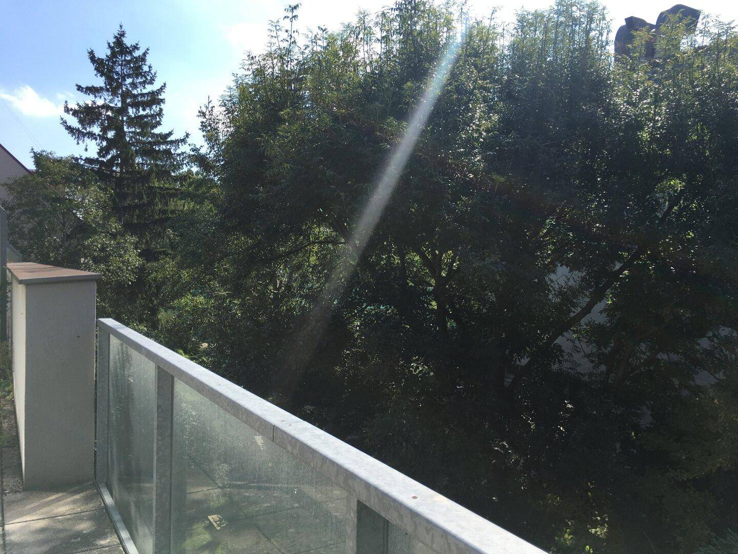 Ausblick