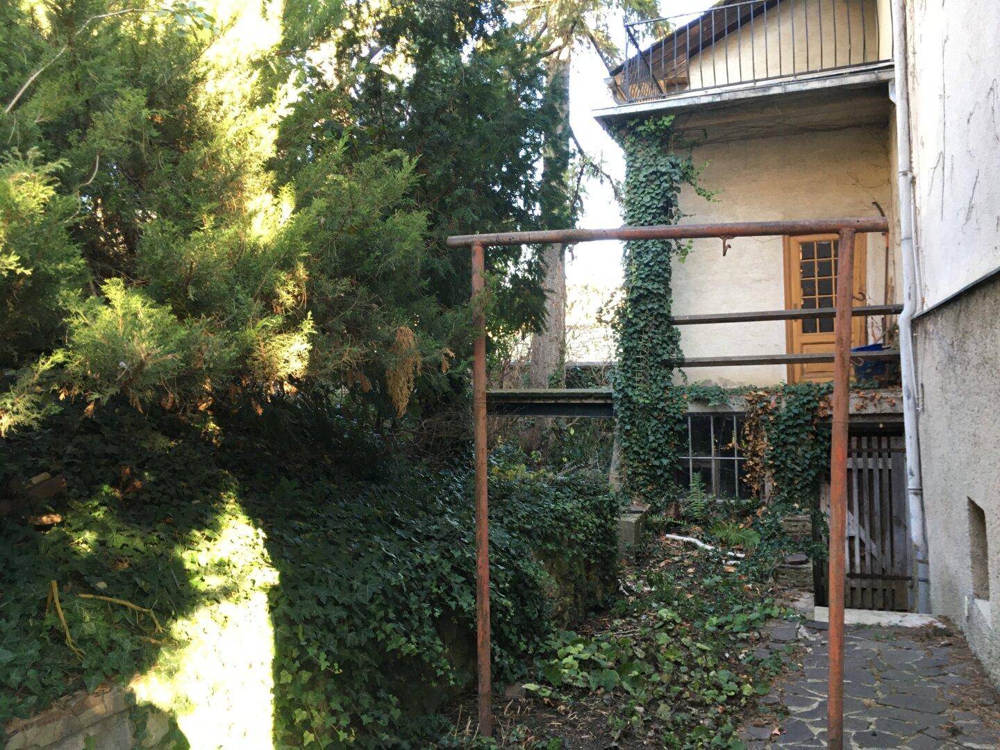 Überwachsener Gartenbereich neben dem Haus mit alten Rankhilfen und viel Grün.