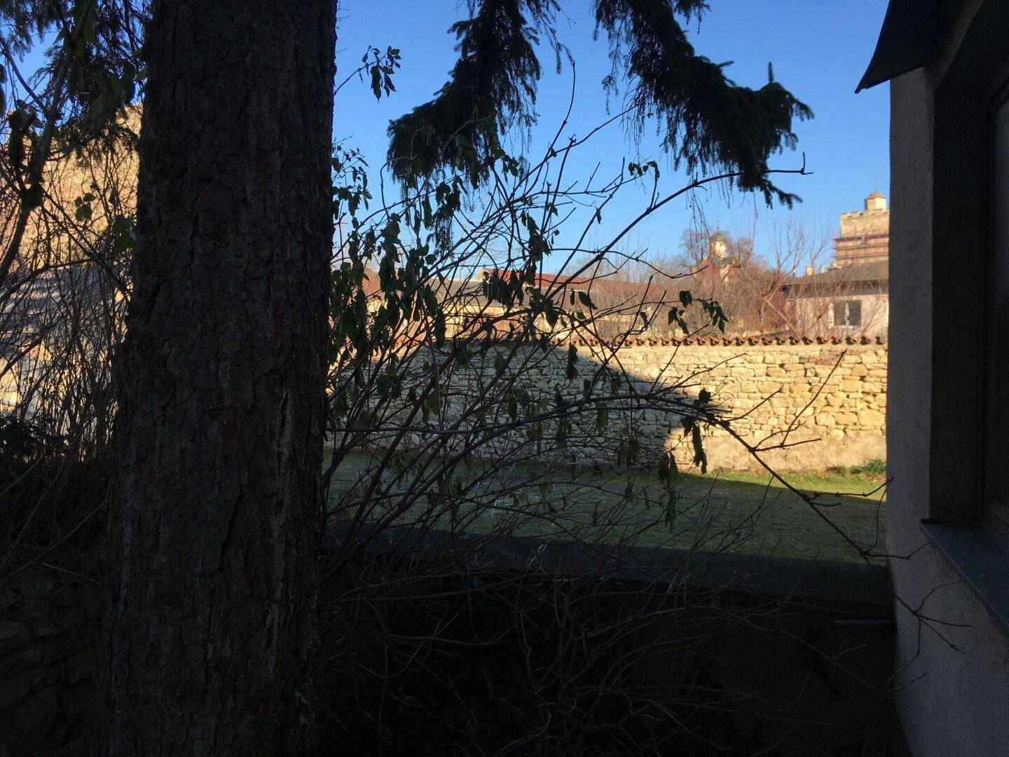 Blick durch kahle Äste auf eine alte Steinmauer und Gebäude im Hintergrund.