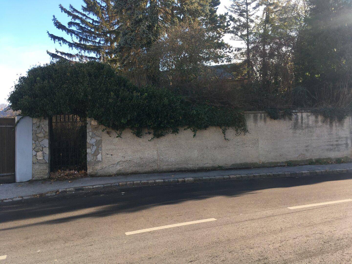 Straße mit einer hohen, bewachsenen Mauer und einem schmiedeeisernen Tor.