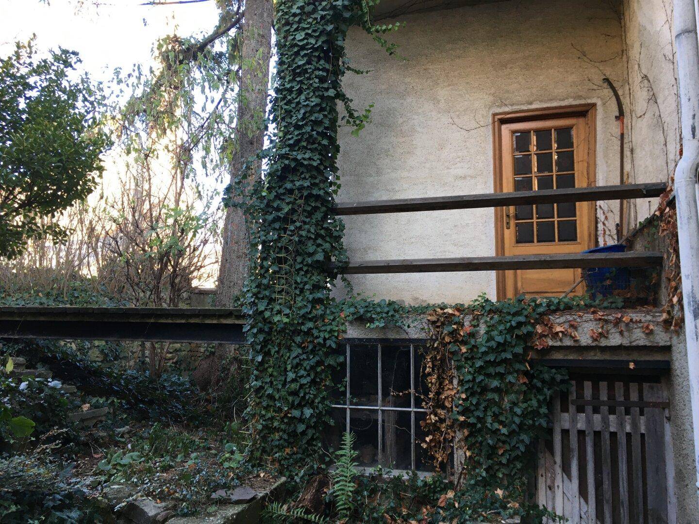 Überwachsene Hauswand mit Efeu und Holztür, angrenzend an einen verwilderten Garten.