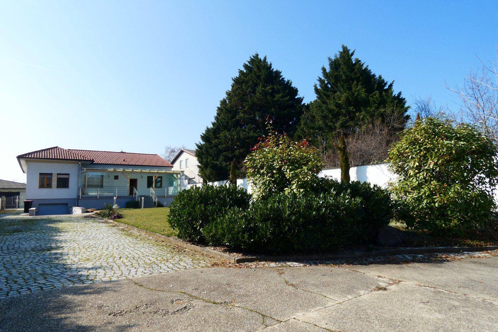 Einfamilienhaus mit gepflasterter Auffahrt, Gartenbereich und hohen Bäumen im Hintergrund.