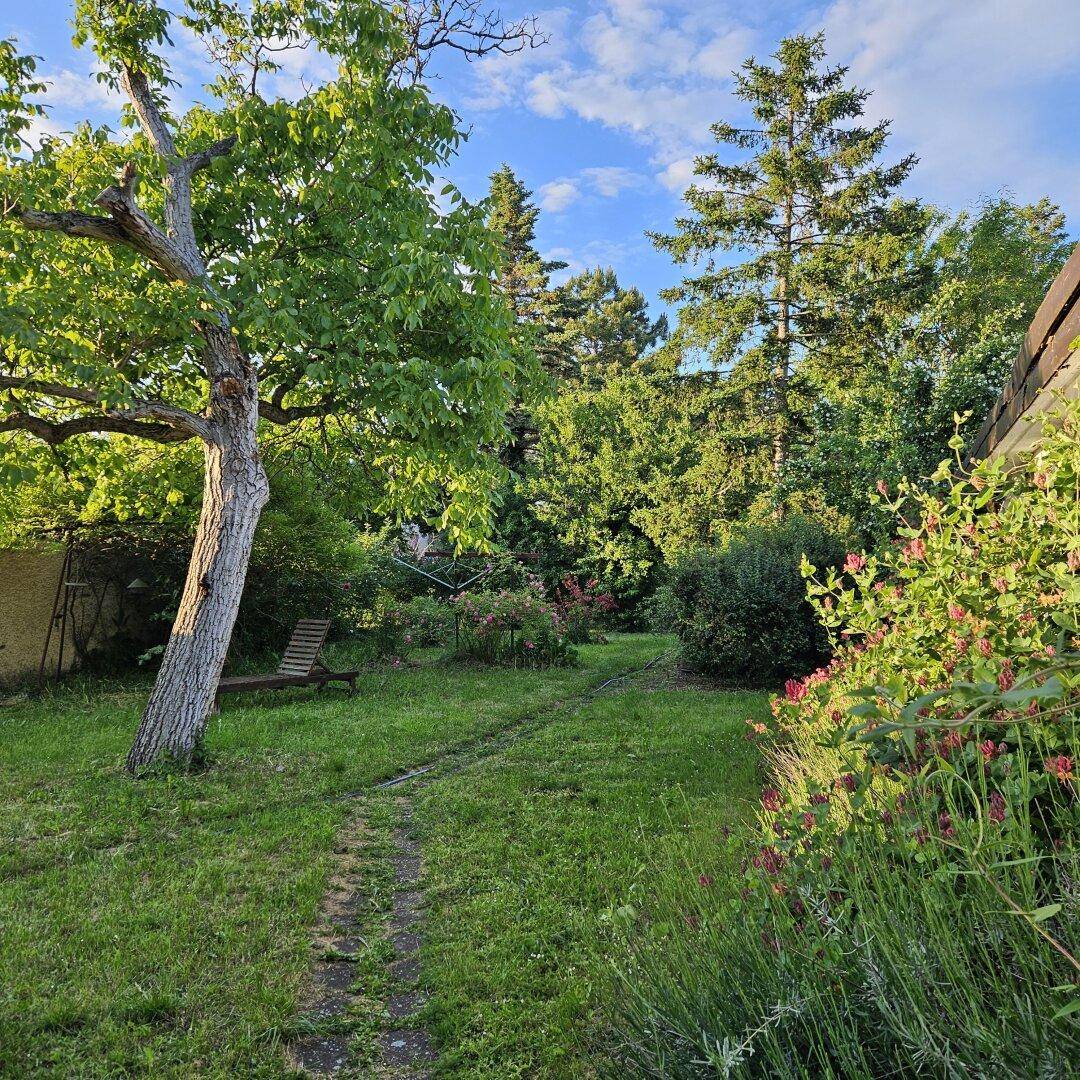 Weitläufiger Garten mit altem Baumbestand, blühenden Sträuchern und viel Grün.
