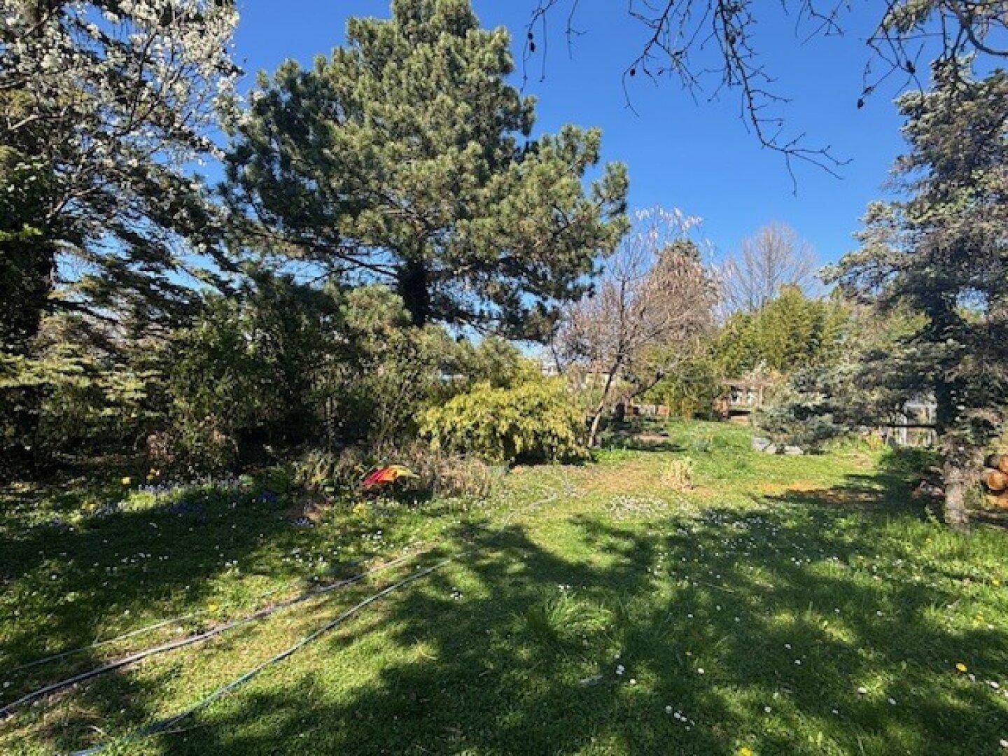 Großer Garten mit vielfältigem Baumbestand und sonnigen Rasenflächen unter blauem Himmel.