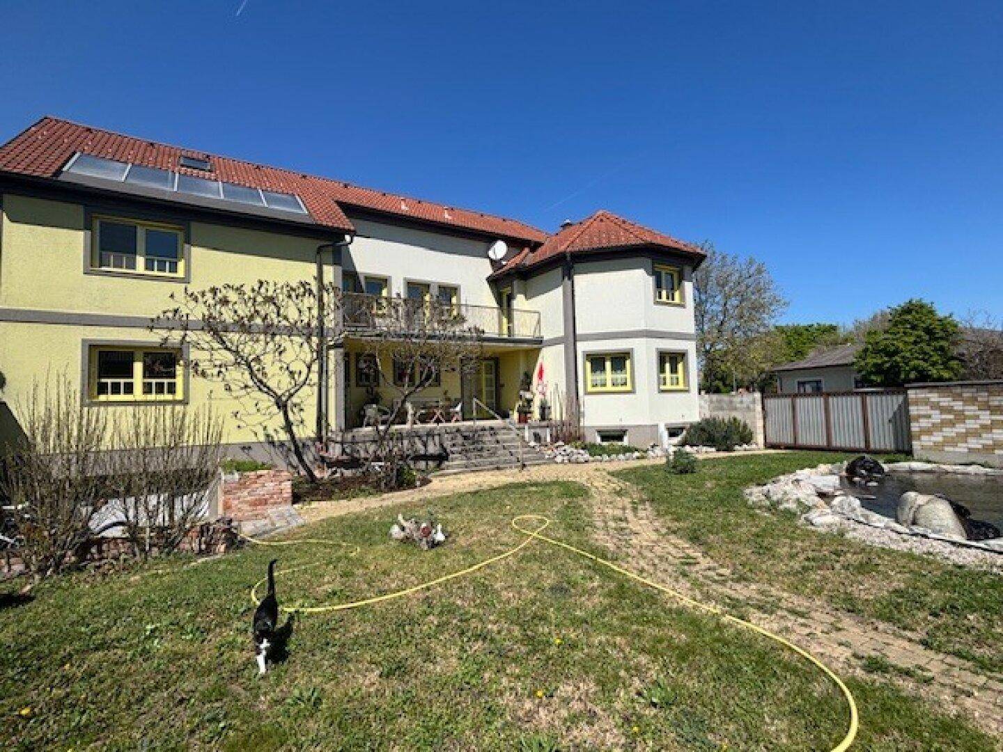 Sonniger Garten mit Rasenfläche und Blick auf die Rückseite des Hauses.