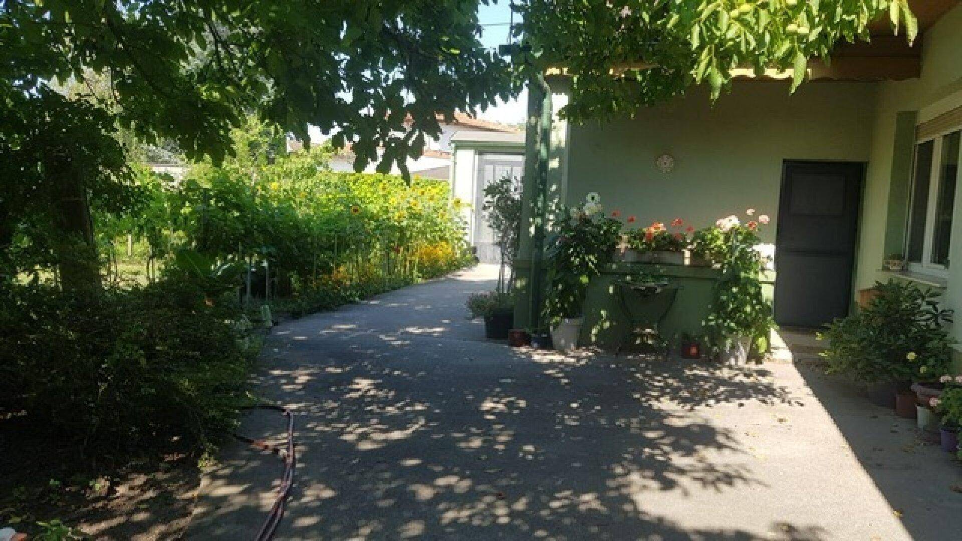 Seitenbereich des Hauses mit gepflastertem Weg, üppiger Vegetation und blühenden Pflanzen.
