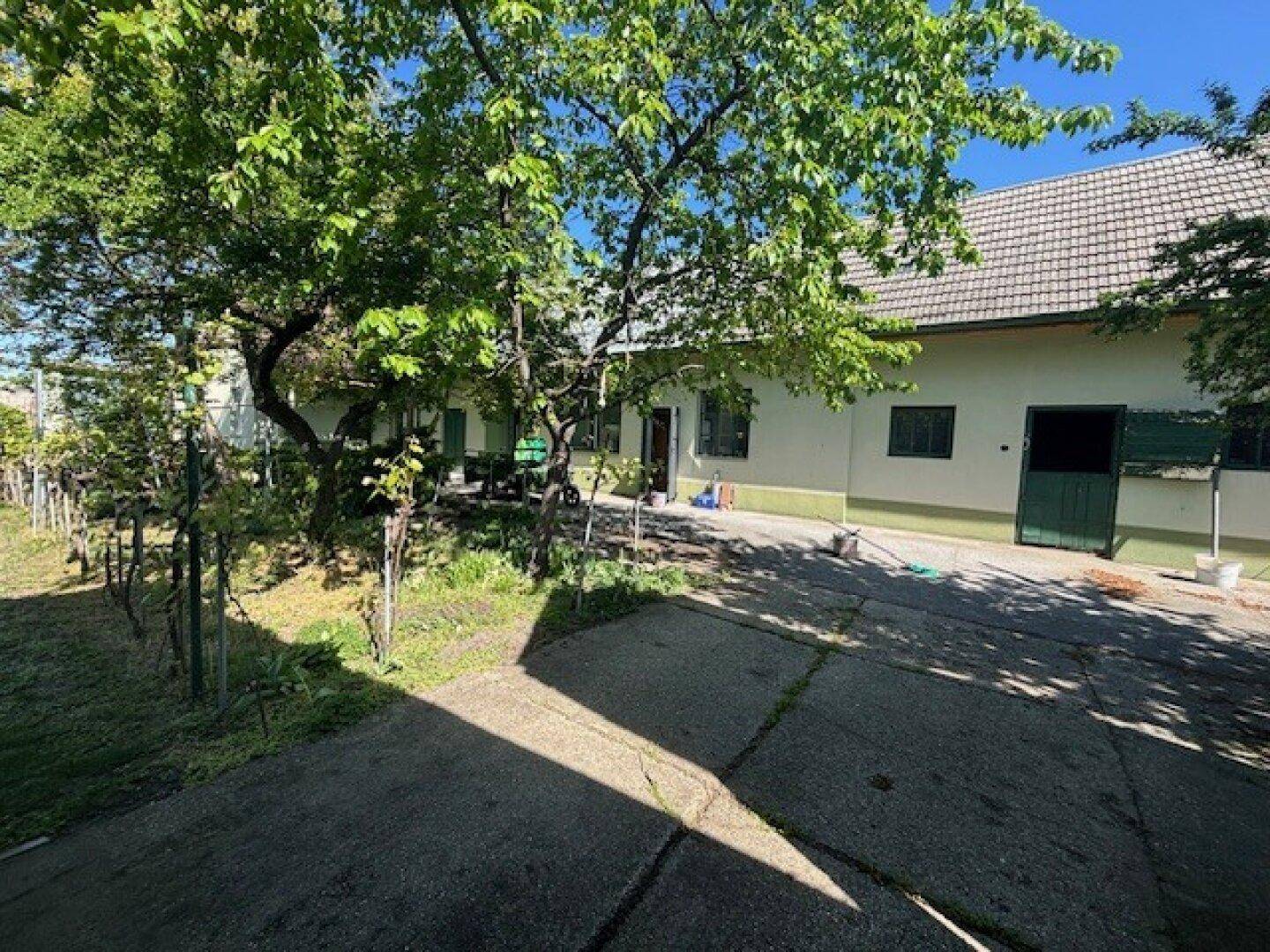 Hinterhofbereich mit gepflasterter Fläche, Bäumen und Blick auf die Rückseite des Hauses.