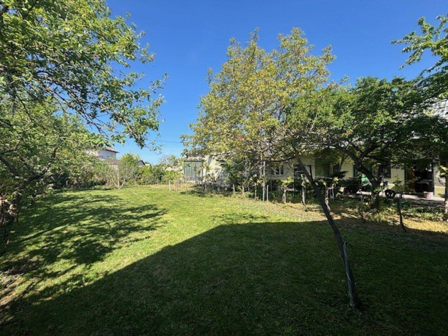 Weitläufiger Garten mit Rasenfläche, Bäumen und viel Grün unter blauem Himmel.