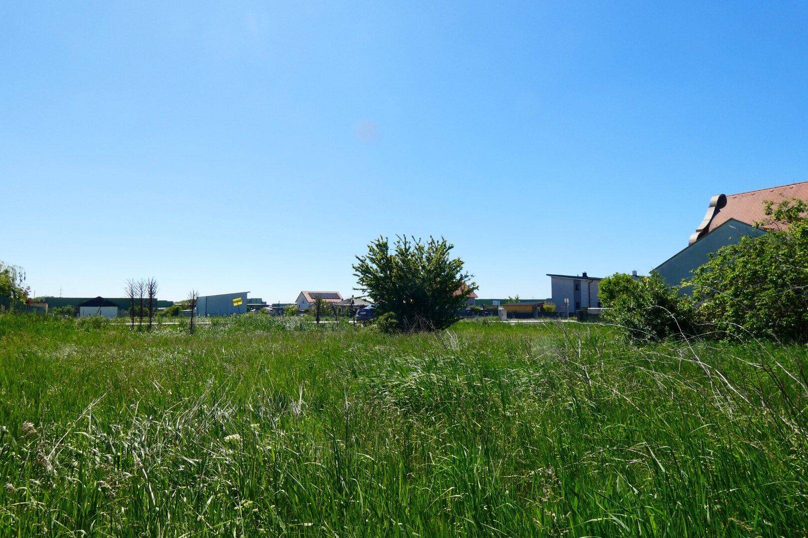 NATURNAHES WOHNEN IN GRÜNRUHELAGE - Ansicht 2