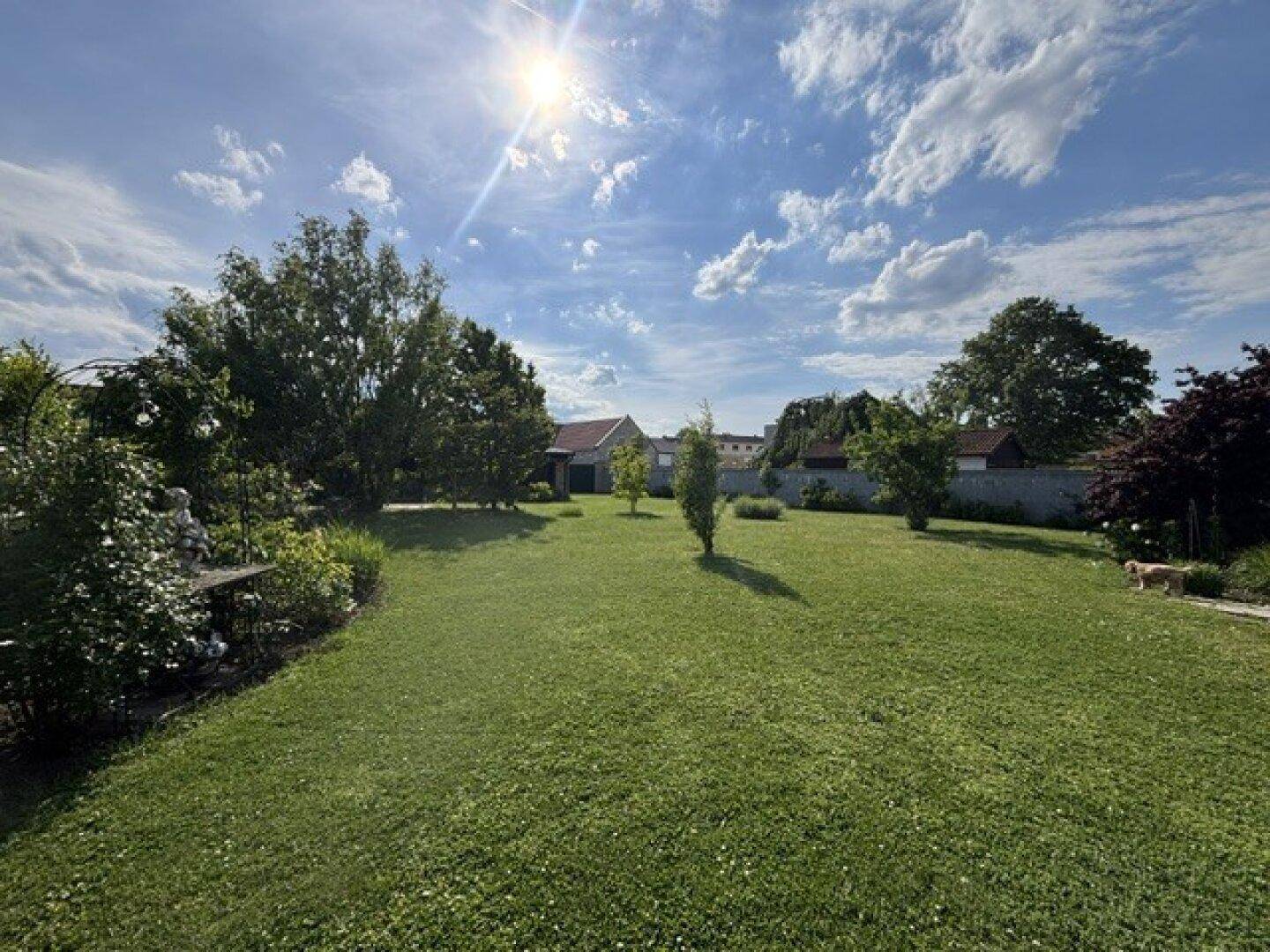 Gepflegter Garten mit viel Grünfläche, Bäumen und einem sonnigen Ambiente.