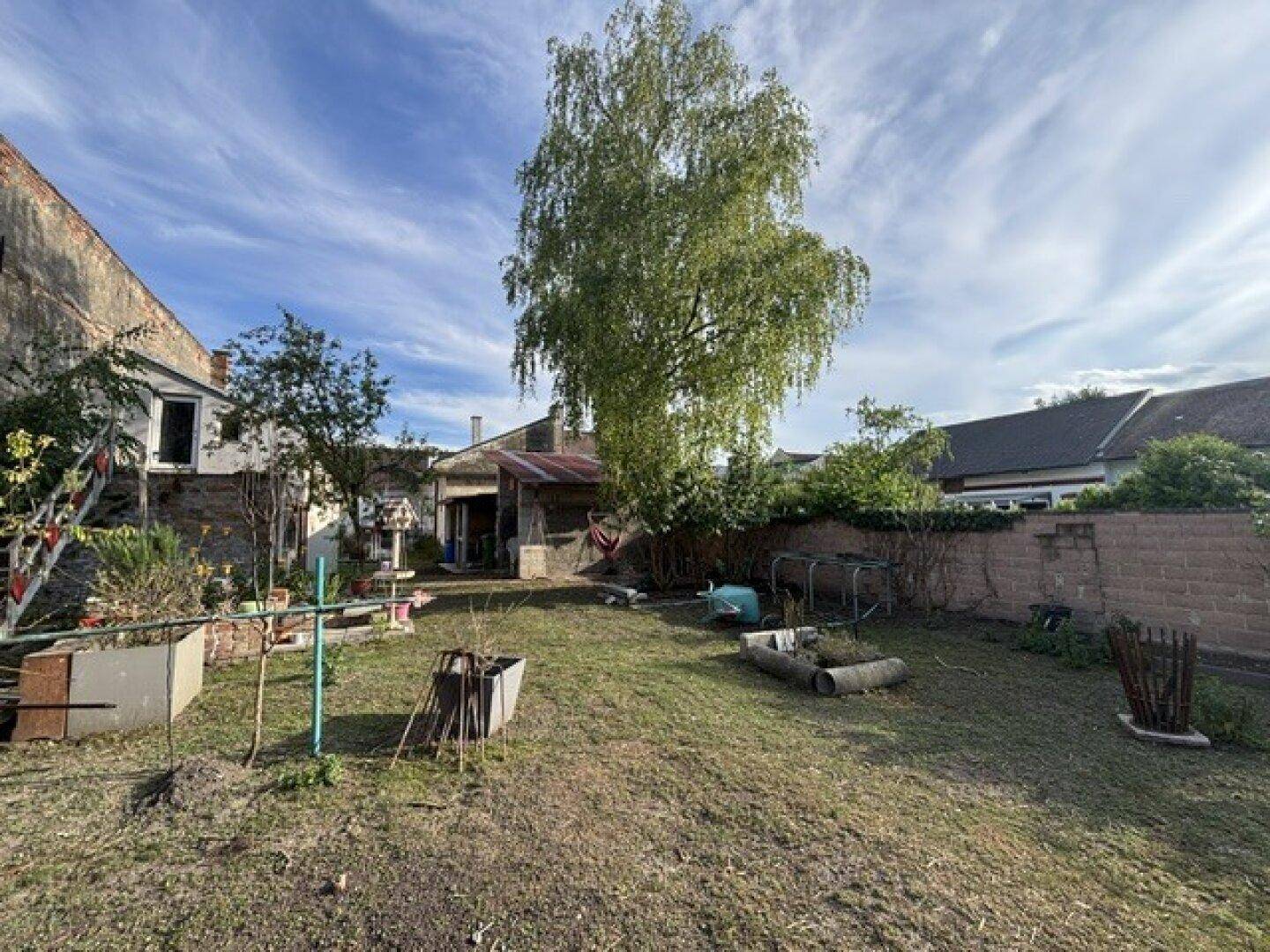 Weitläufiger Garten mit hohem Baum, Rasenfläche und Blick auf weitere Gebäude.