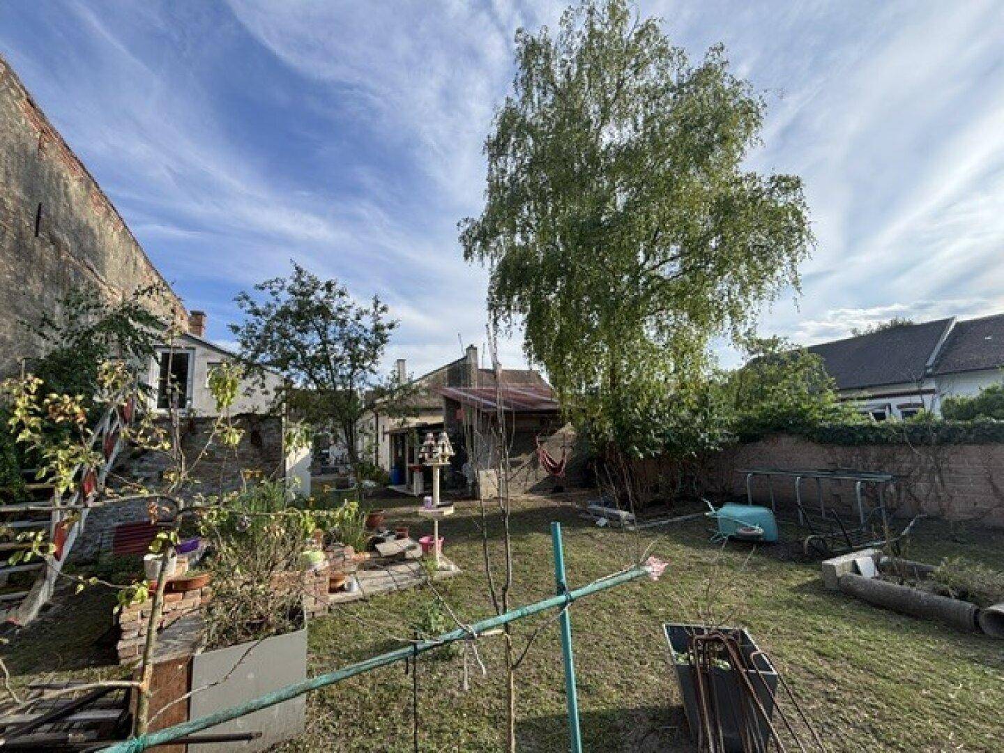 Sonniger Garten mit großem Baum, Rasen und verschiedenen Gartenutensilien.