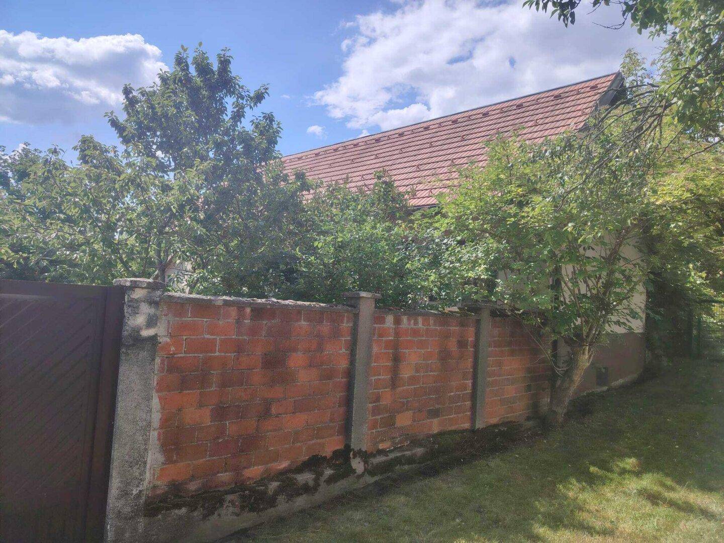 Alte Ziegelmauer umgeben von üppigem Grün und Bäumen an einem sonnigen Tag.