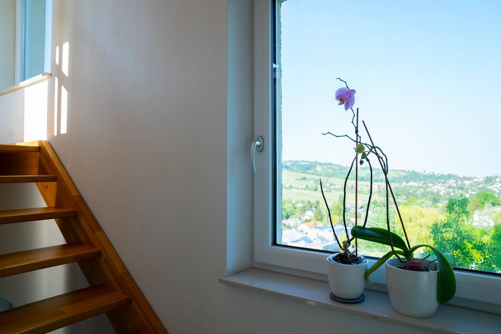 Heller Treppenaufgang mit Holzstufen und Fenster, das einen weiten Blick in die Landschaft ermöglicht.