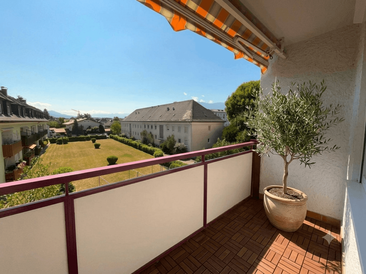 Sonniger Balkon mit Holzboden, Olivenbaum und weitem Blick über eine Grünanlage und Berge.