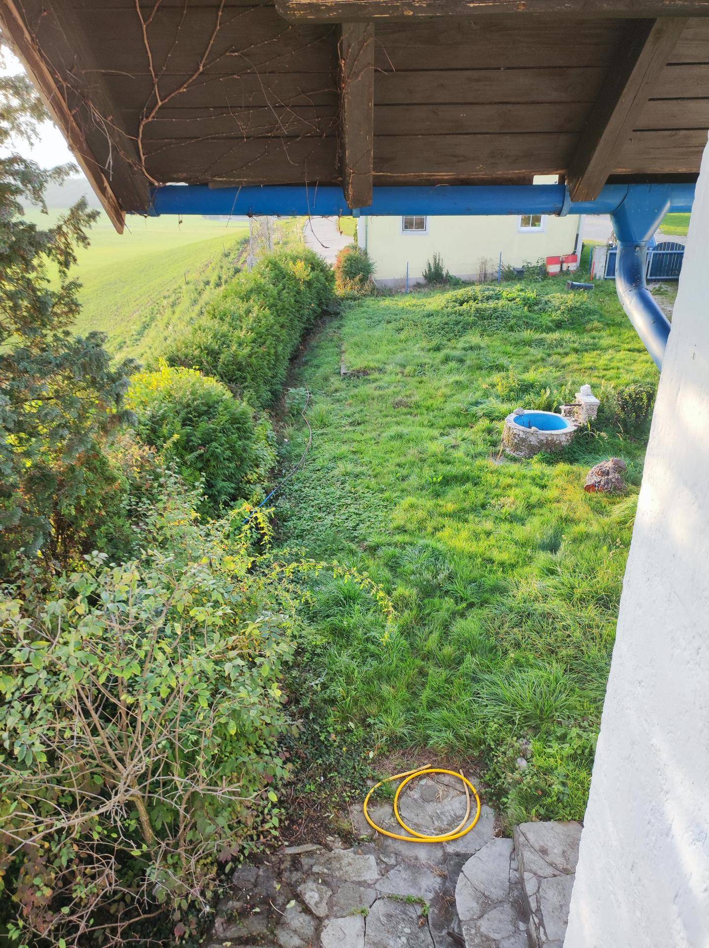 Blick von oben auf einen grünen Gartenbereich mit Büschen, einem kleinen Brunnen und einem gelben Schlauch.