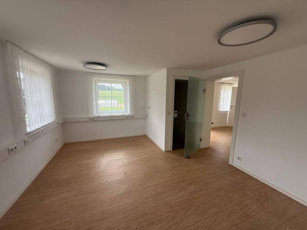 Leerer Raum mit hellem Laminatboden, großen Fenstern und Blick ins Grüne.