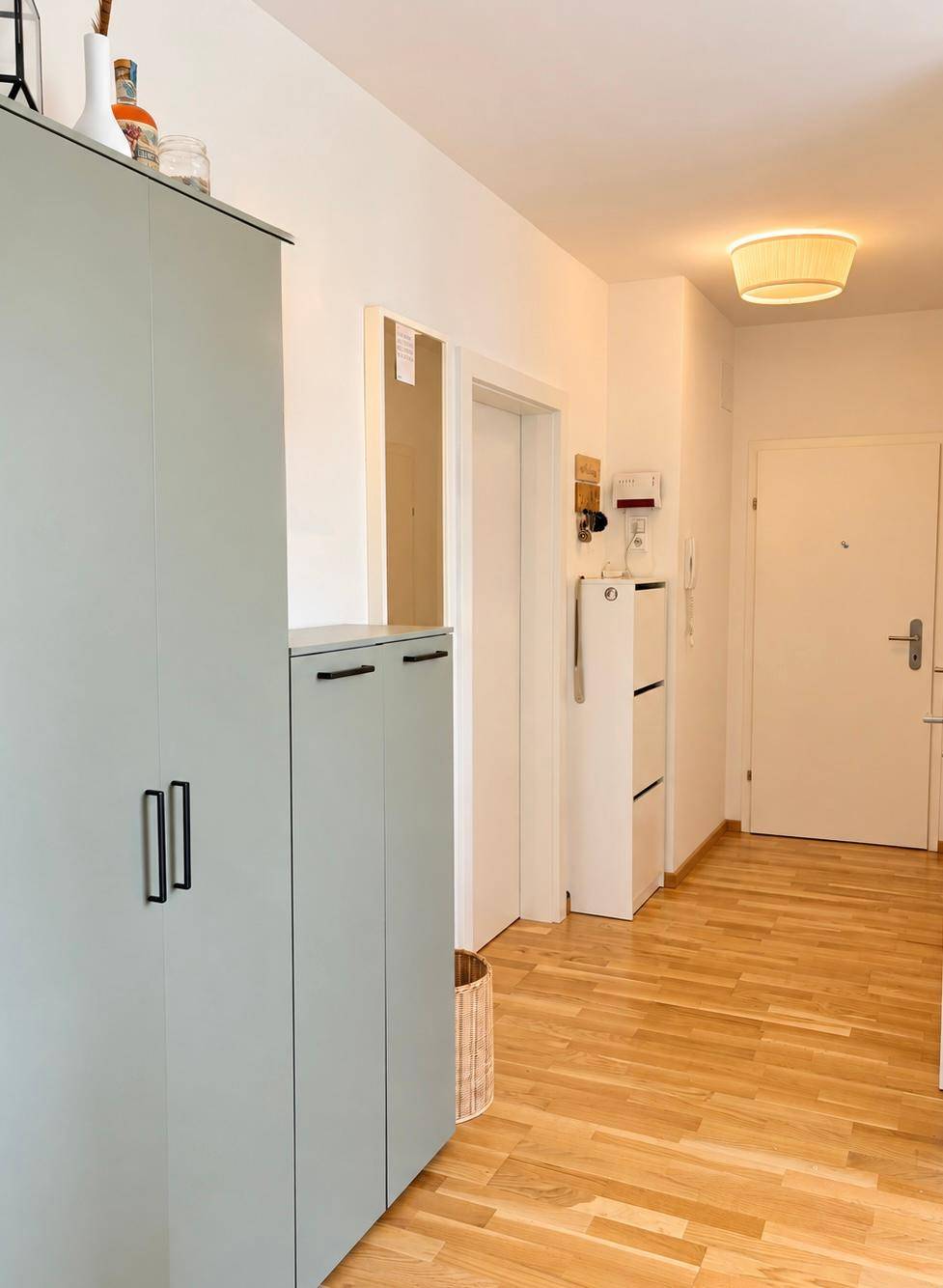 Heller Eingangsbereich mit Parkettboden, Garderobenschrank und Zugang zu den Wohnräumen.