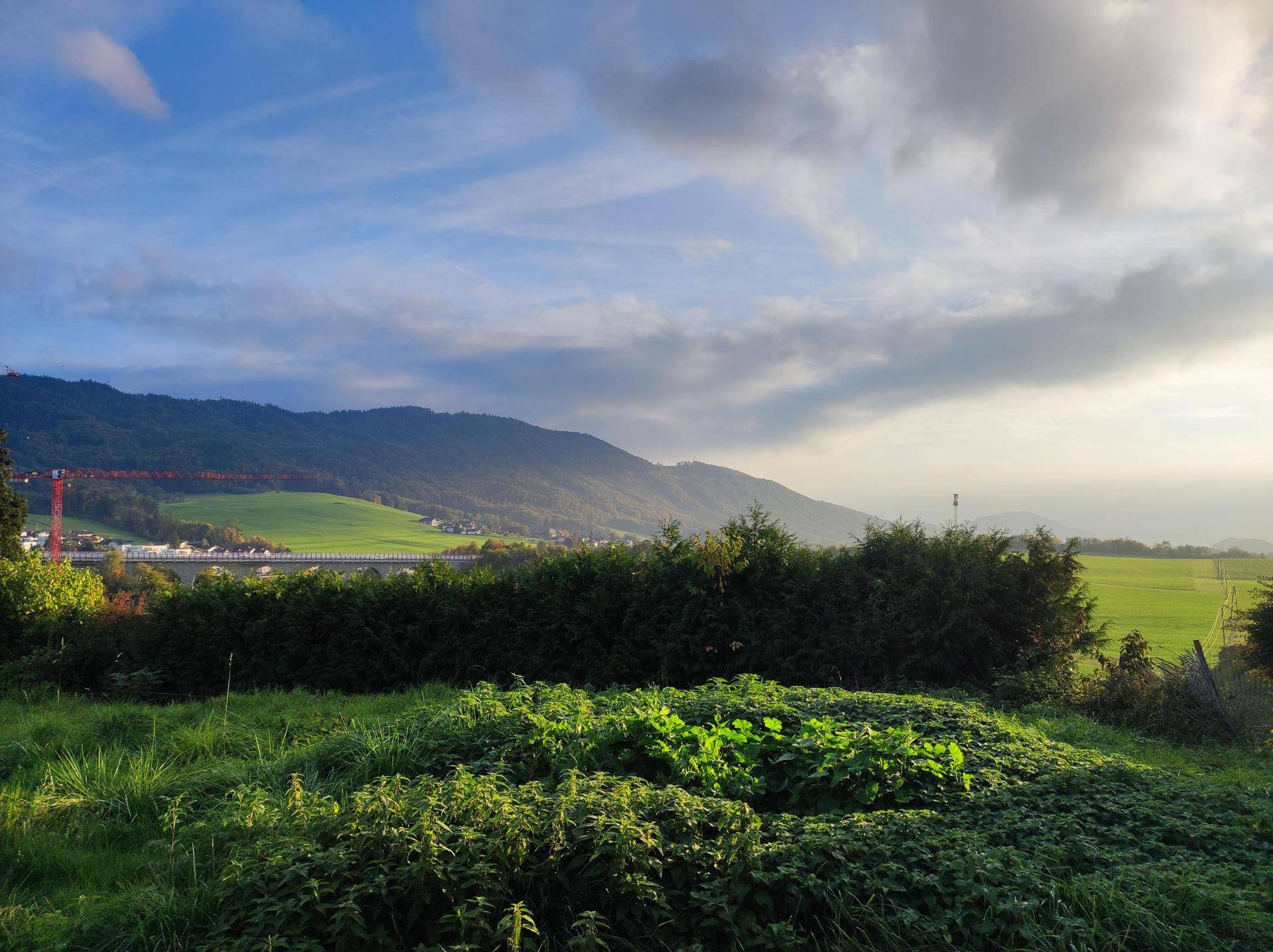 Weite grüne Landschaft mit Bergen im Hintergrund und einer Hecke im Vordergrund unter bewölktem Himmel.